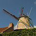 Windmühle in Sluis DSC06429