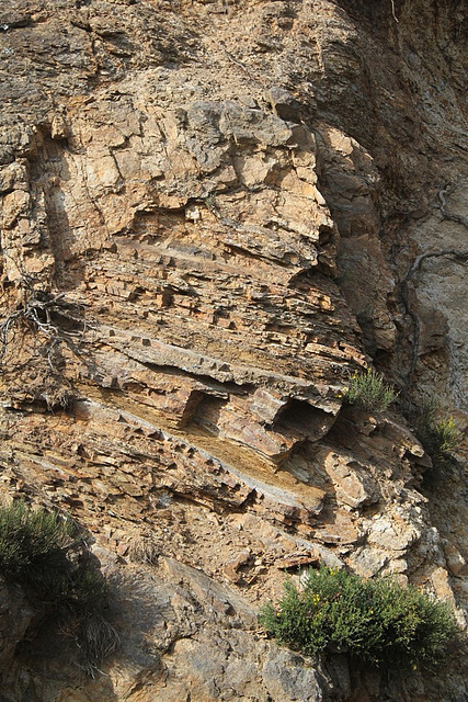Granite schisteux du Velay 2
