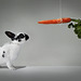 A Rabbit and a Carrot  :o)