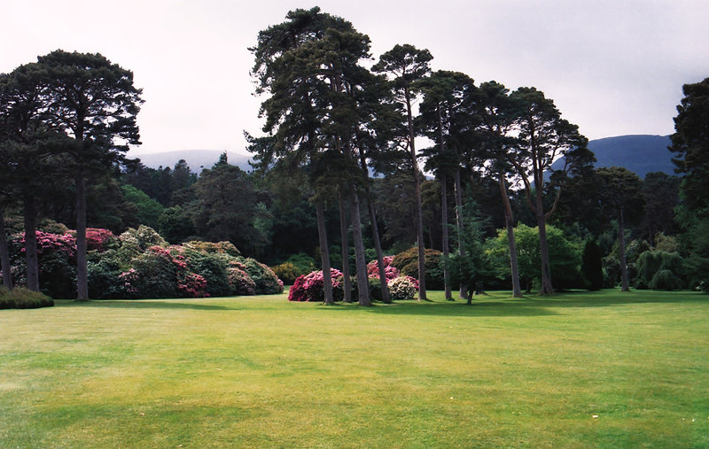 Muckross Garden