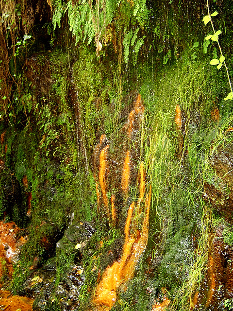 Agua agria. Manantial de agua ferruginosa. Pórtugos (Alpujarra)