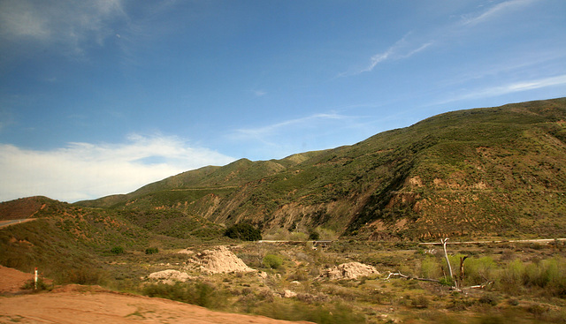 St Francis Dam Site (9783)