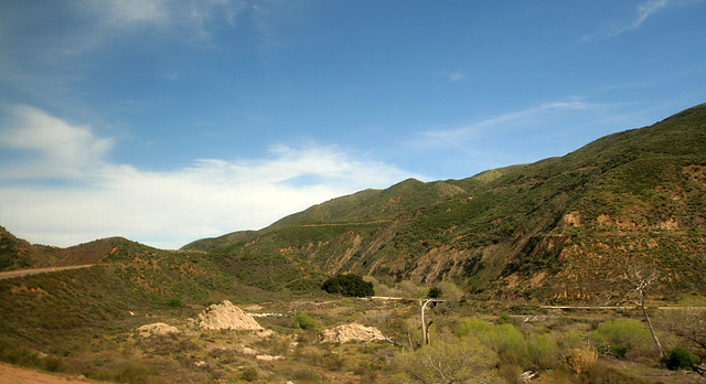 St Francis Dam Site (9784)