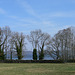 Baumreihe am Starnberger See