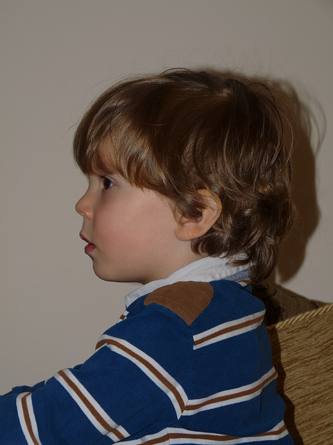 Profile of Dexter at Three Years Old Profile of Dexter at Three Years Old