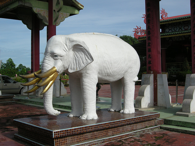 weißer Elefant