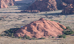 Snow Canyon State Park 567a