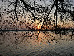 Sonnenaufgang am Starnberger See