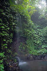 Small fall beside the Gitgit waterfall