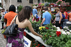 39.Exhibitors.Flowermart.Baltimore.MD.7May2010