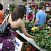 40.Exhibitors.Flowermart.Baltimore.MD.7May2010