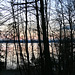 Blaue Stunde am Starnberger See