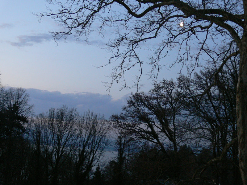 Blaue Stunde am Starnberger See