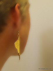 The Lady with The Gold Leaf Earring...