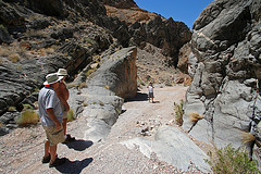 The Steps on Steel Pass Road (0244)