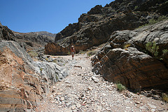 The Steps on Steel Pass Road (0248)