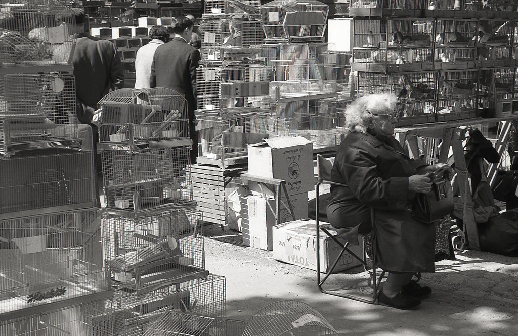 Le marché aux oiseaux - Paris 1965