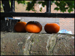 oranges on the wall