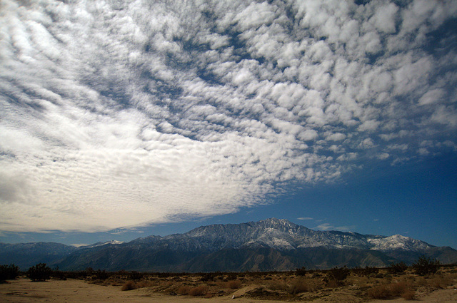 Mt. San Jacinto (6307)