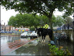 mounted police in Oxford