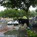 mounted police in Oxford