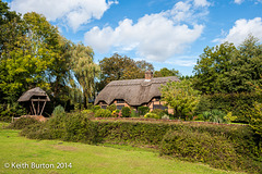 New Forest Thatched Cottage