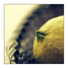 Mimi's Lemon