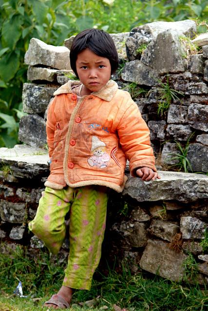 Népal 2010