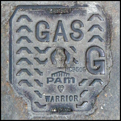 Pam Warrior gas cover