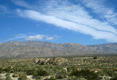 Coachella Valley Preserve (6336)