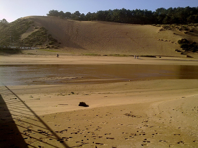 Dune (1)