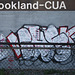 05a.GraffitiTagging.WMATA.BrooklandCUA.NE.WDC.6April2011