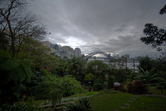 Sydney, seen from Wendy's Secret Garden in Lavender Bay