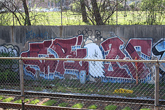 22.GraffitiTagging.WMATA.BrooklandCUA.NE.WDC.6April2011