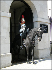 Horse Guard sentry
