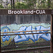 30.GraffitiTagging.WMATA.BrooklandCUA.NE.WDC.6April2011
