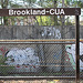 33.GraffitiTagging.WMATA.BrooklandCUA.NE.WDC.6April2011