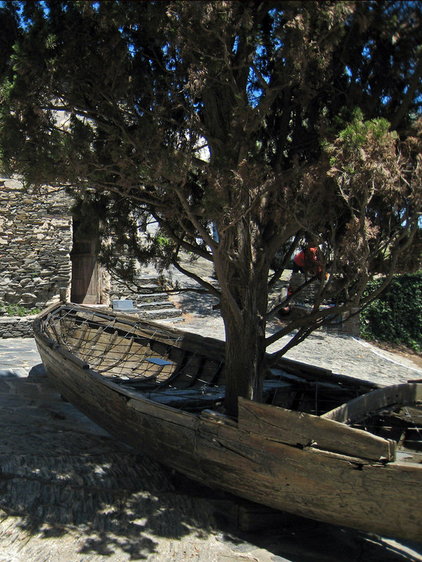 Boat-Tree