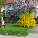 Frühling vor meinem Haus