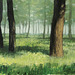 Forest (=숲=林=Arbaro)_oil on canvas=olee sur tolo_50x65.2cm(15p)_2008_HO Song