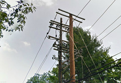 CL&P 13.8(*2)kV