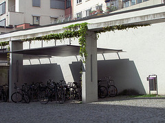 bycicle flock