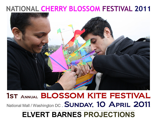 1stBlossomKiteFestival2011
