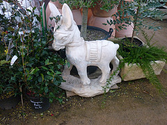 Petit âne blanc dans jardinerie