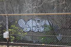 41.GraffitiTagging.WMATA.BrooklandCUA.NE.WDC.6April2011