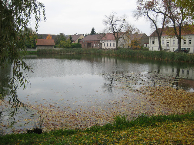 Kemlitz - Dorfteich