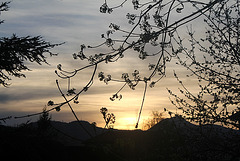 soleil couchant sur le Puy de Dôme
