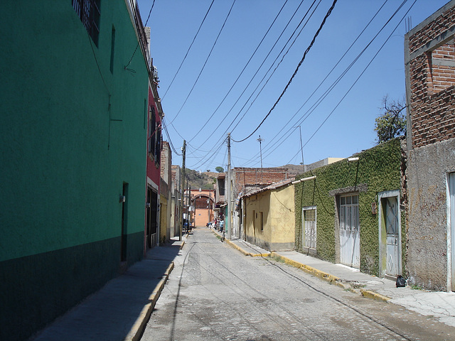 Tequila, Jalisco -  Mexique /  23 mars 2011.