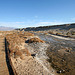 Death Valley Salt Creek (9672)