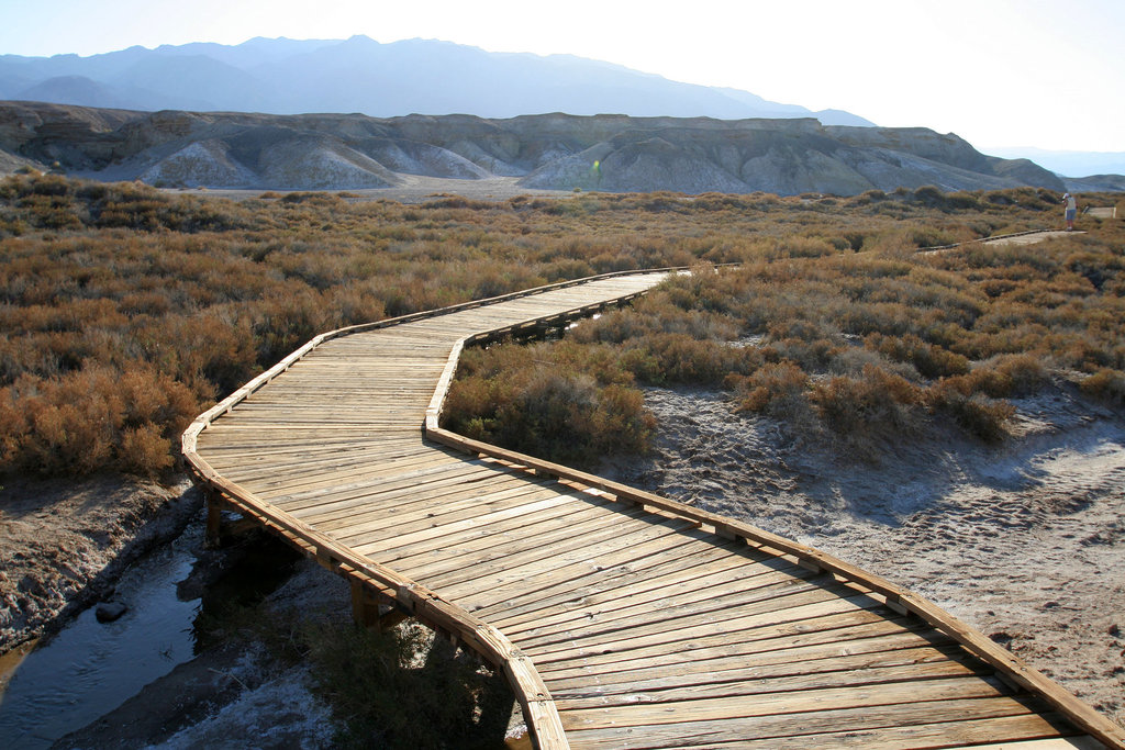 Death Valley Salt Creek (9674)
